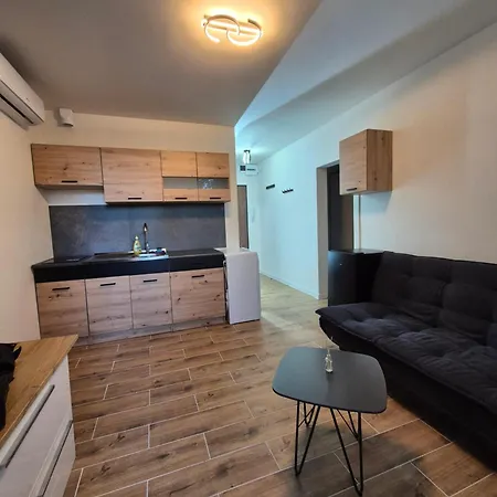 V Centre Mesta 莱维采